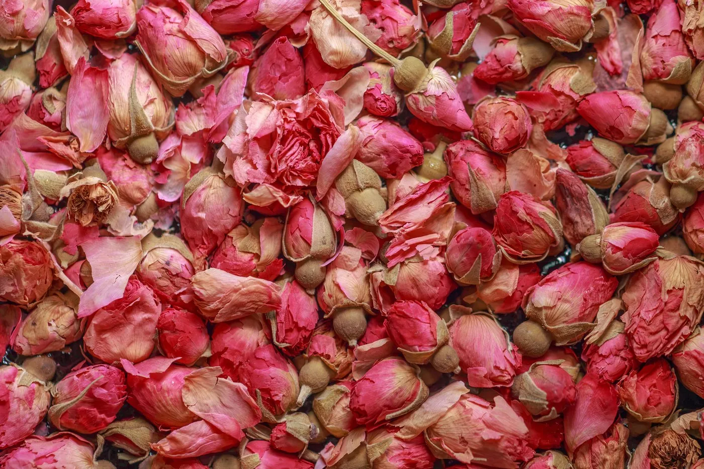 Dried rosebuds